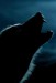 werewolves.jpg